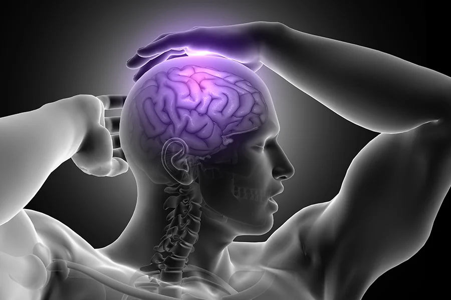 Experience Brain Zen Pro